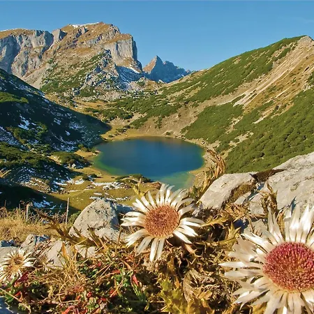 Fogadó Schwaiger 3*