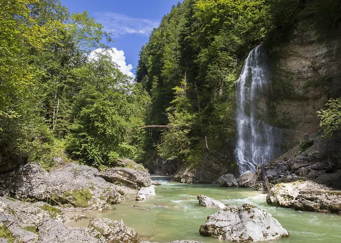 Schwaiger 3*